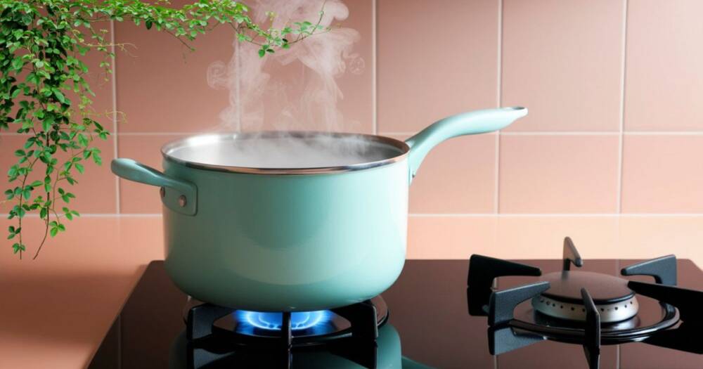 A boiling pot on a kitchen stove with ivy leaves on the wall behind